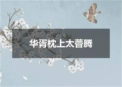 华胥枕上太瞢腾