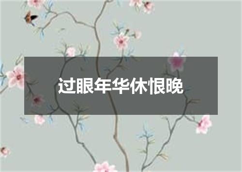 过眼年华休恨晚