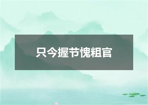 只今握节愧粗官