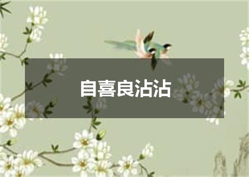 自喜良沾沾
