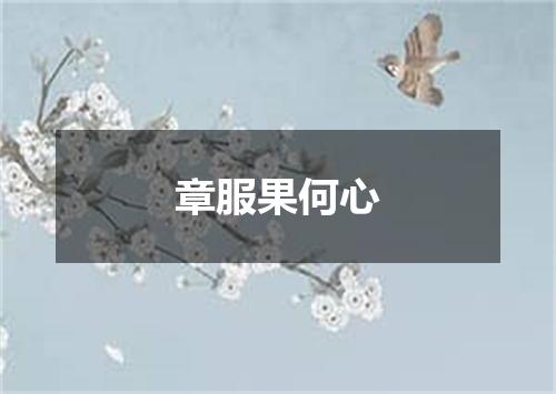 章服果何心