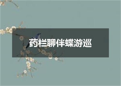 药栏聊伴蝶游巡
