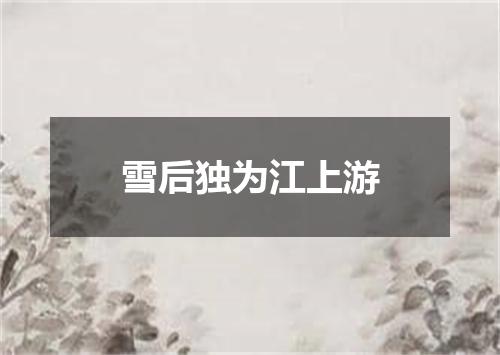 雪后独为江上游