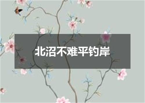 北沼不难平钓岸