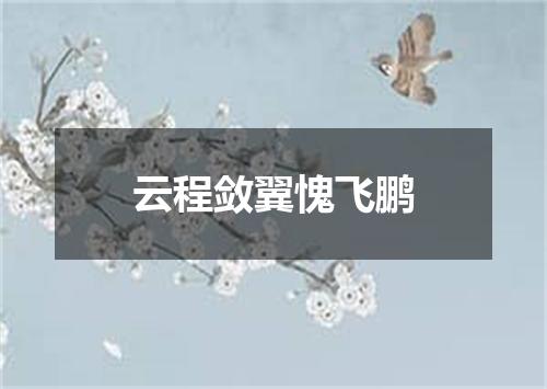 云程敛翼愧飞鹏