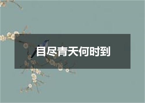 目尽青天何时到
