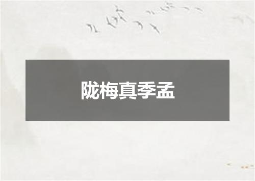 陇梅真季孟