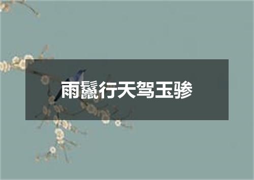 雨鬣行天驾玉骖