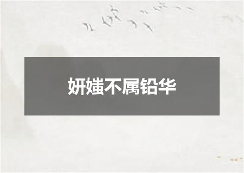 妍媸不属铅华