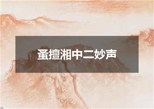 蚤擅湘中二妙声
