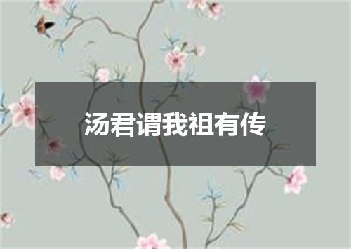 汤君谓我祖有传