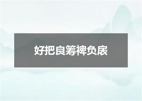 好把良筹裨负扆