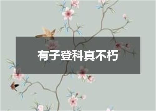 有子登科真不朽