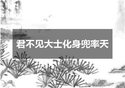 君不见大士化身兜率天