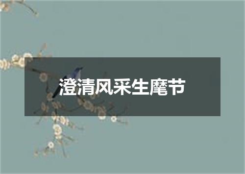 澄清风采生麾节