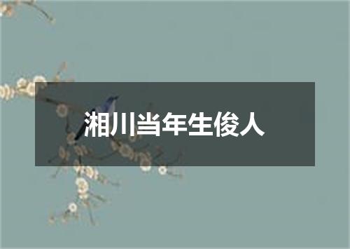 湘川当年生俊人