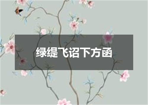 绿缇飞诏下方函