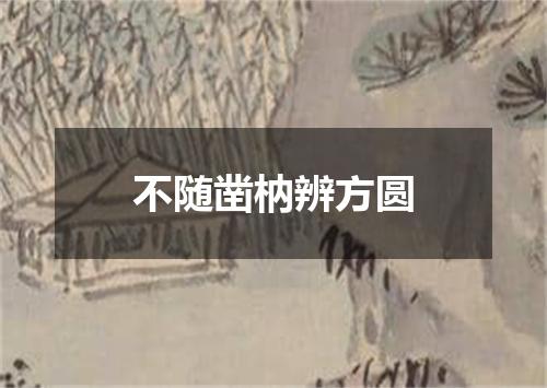 不随凿枘辨方圆