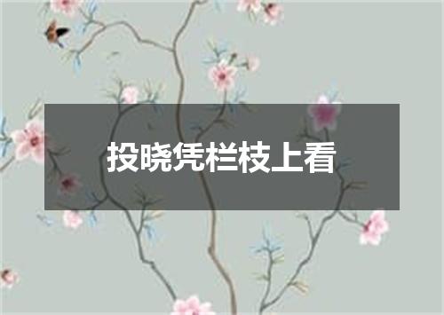 投晓凭栏枝上看