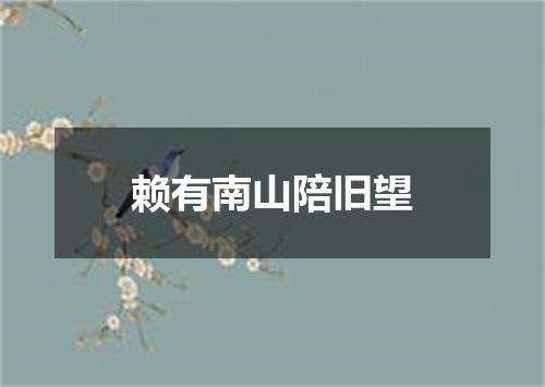 赖有南山陪旧望
