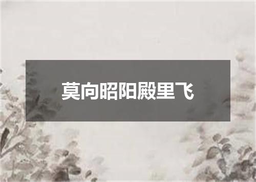 莫向昭阳殿里飞