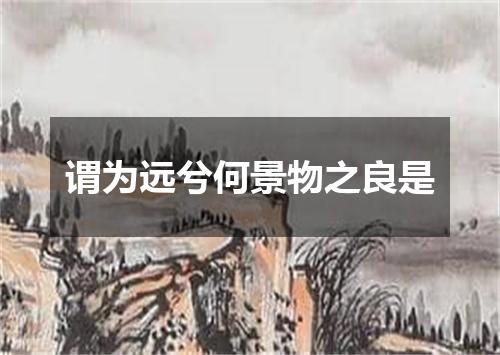 谓为远兮何景物之良是