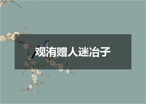 观洧赠人迷冶子