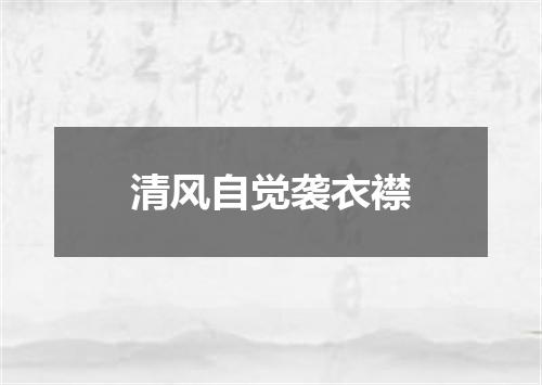 清风自觉袭衣襟