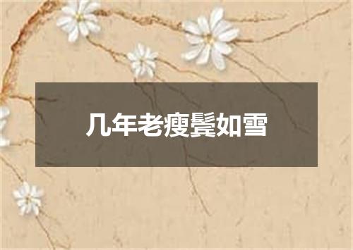几年老瘦鬓如雪