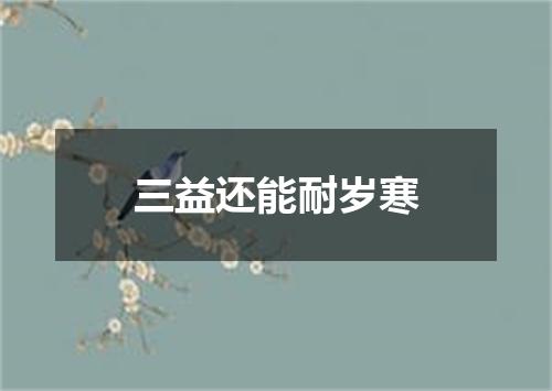 三益还能耐岁寒