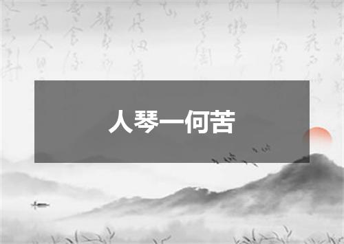 人琴一何苦