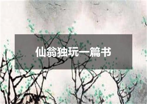 仙翁独玩一篇书
