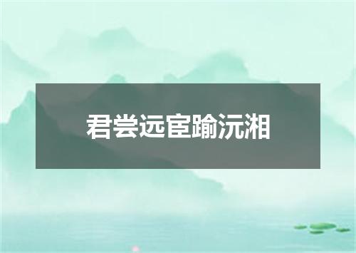 君尝远宦踰沅湘