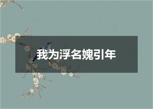 我为浮名媿引年