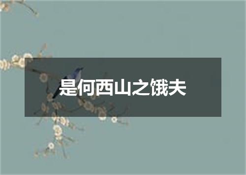 是何西山之饿夫