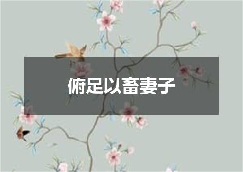 俯足以畜妻子