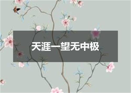 天涯一望无中极