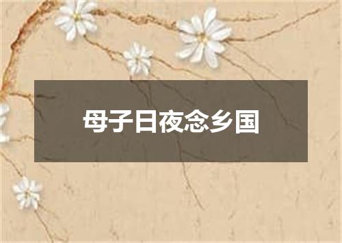 母子日夜念乡国