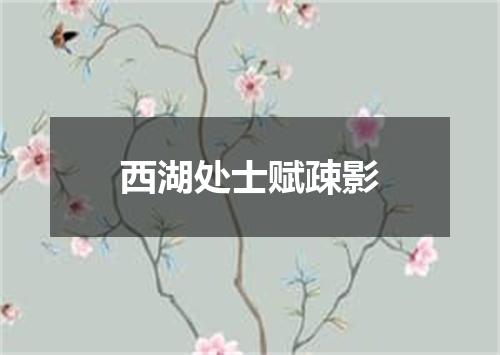 西湖处士赋疎影