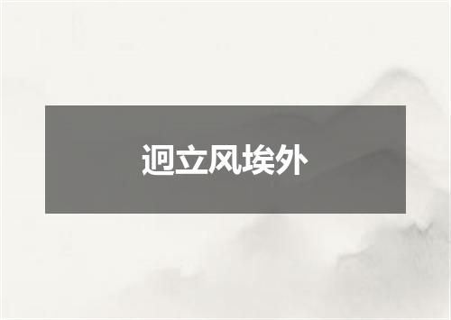 迥立风埃外