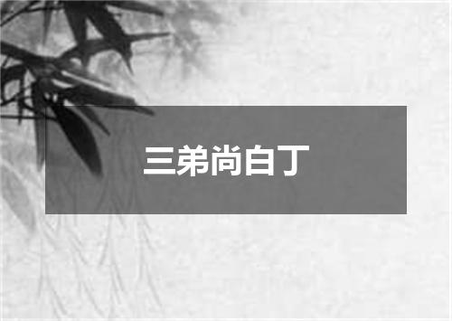 三弟尚白丁