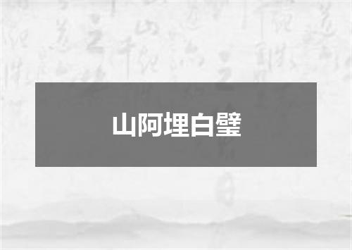 山阿埋白璧