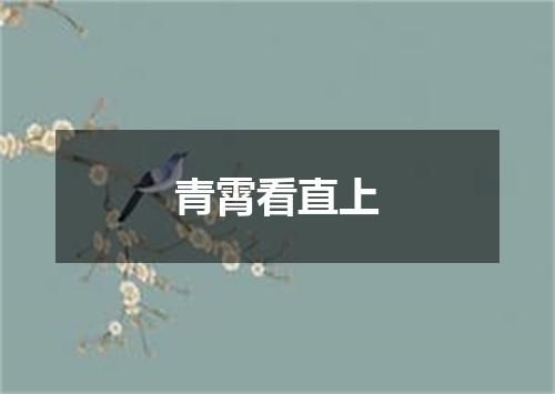 青霄看直上
