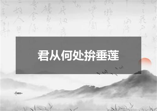 君从何处拚垂莲