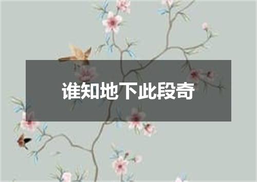 谁知地下此段奇