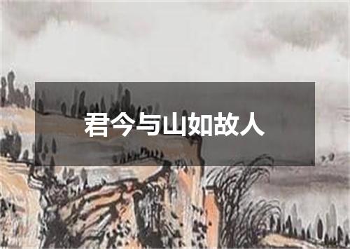 君今与山如故人