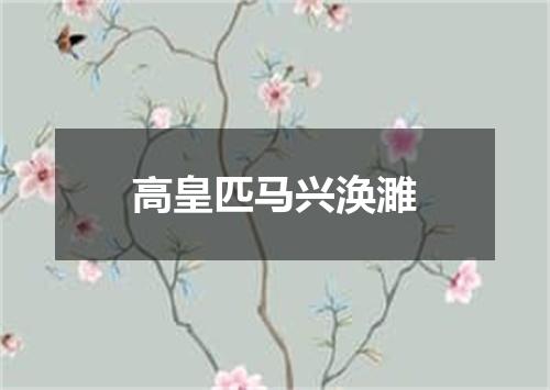高皇匹马兴涣濉