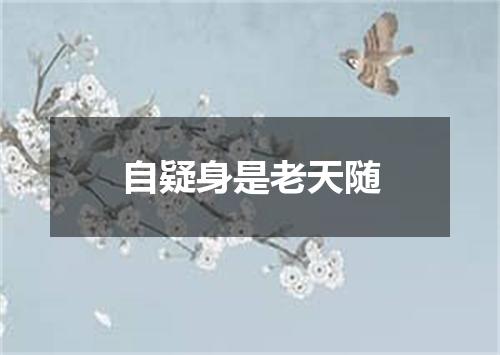 自疑身是老天随