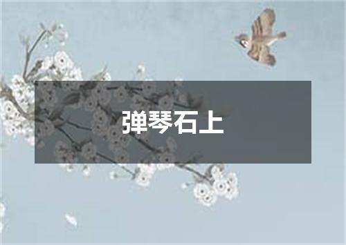 弹琴石上