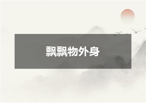 飘飘物外身